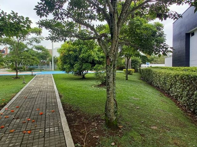 place photo 46