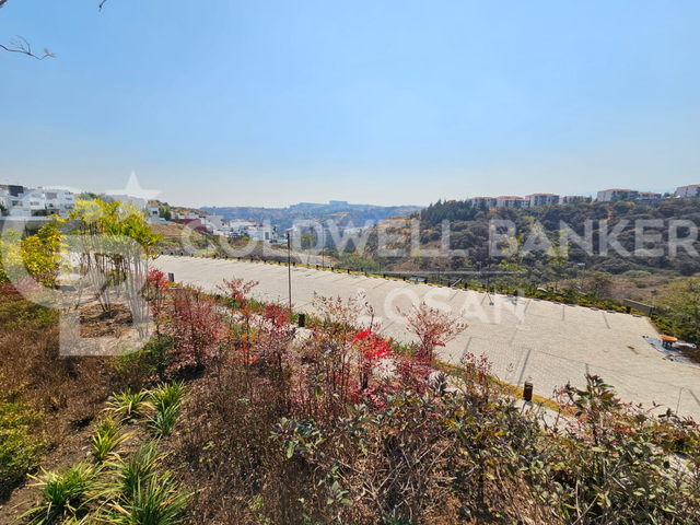 place photo 37