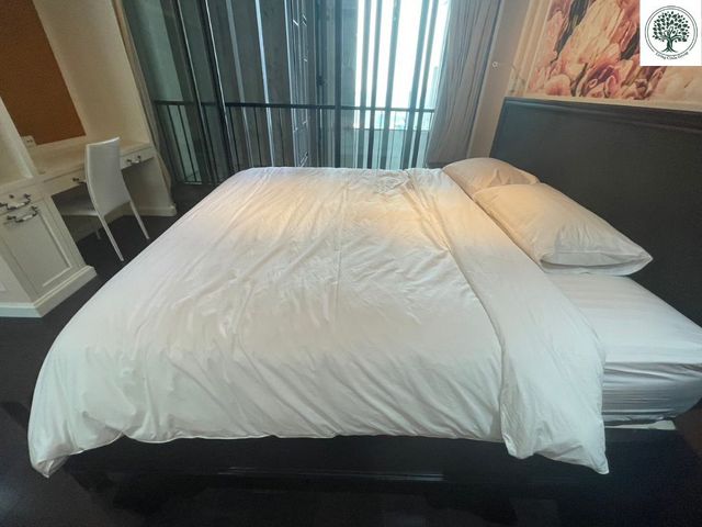 place photo 58