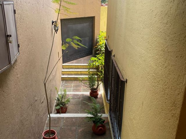 place photo 46