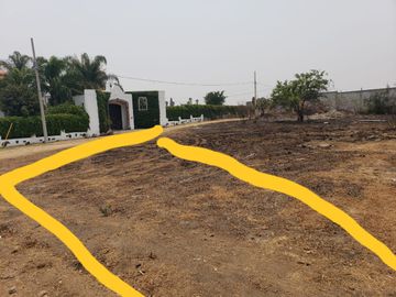 place photo 16