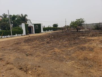 place photo 15