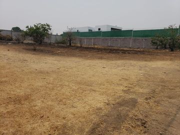place photo 23