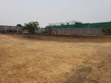 place photo 26