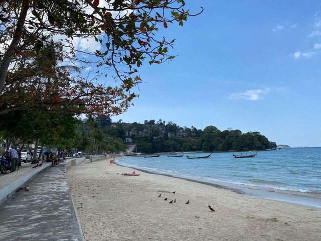 place photo 17