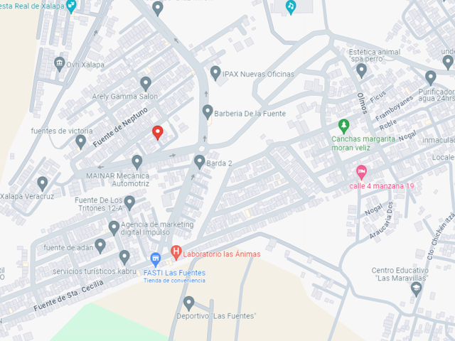 place photo 10