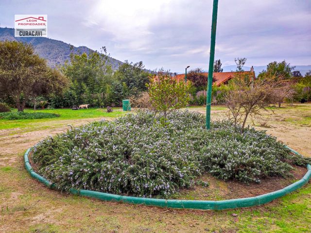 place photo 75