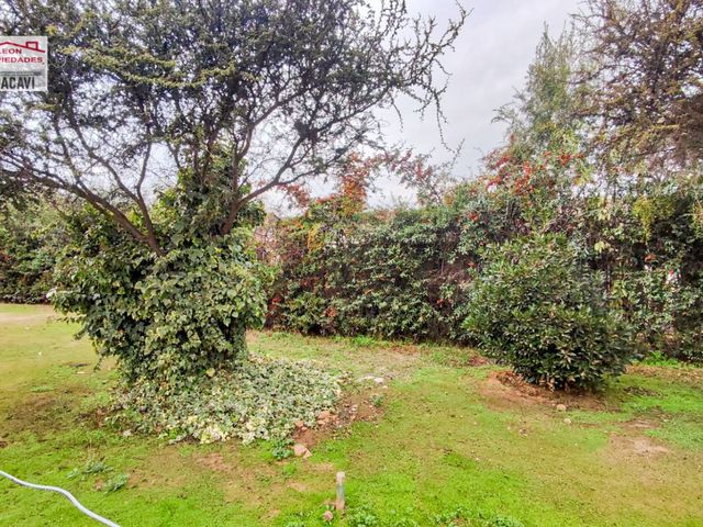 place photo 82