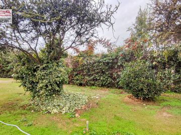 place photo 82