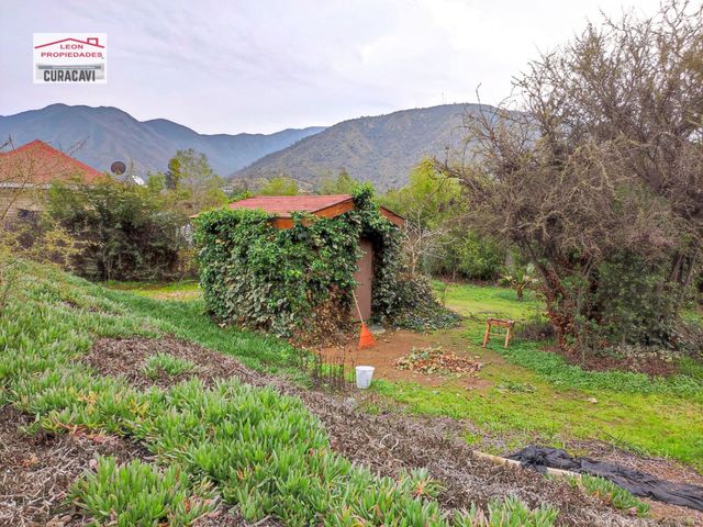 place photo 62
