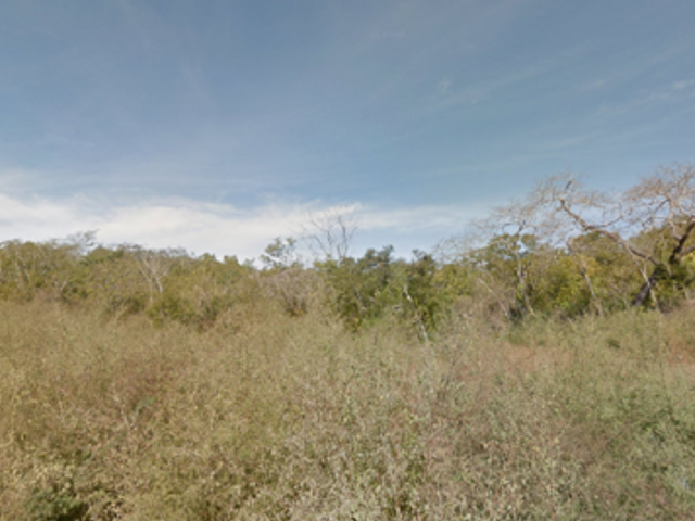 place photo 10