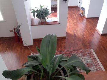 place photo 33