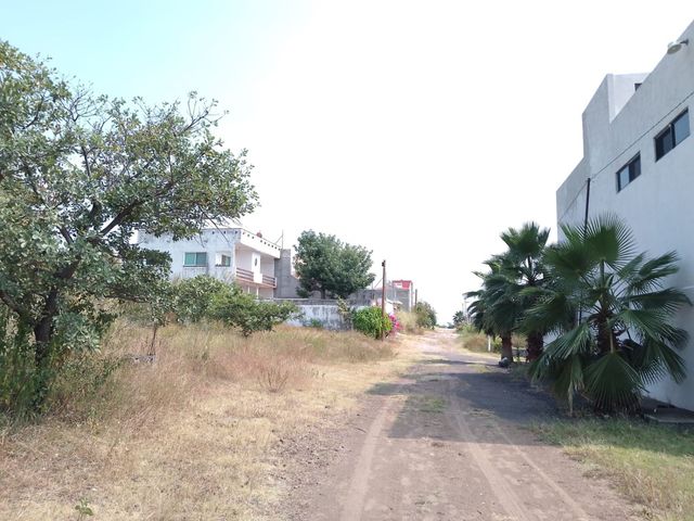 place photo 12