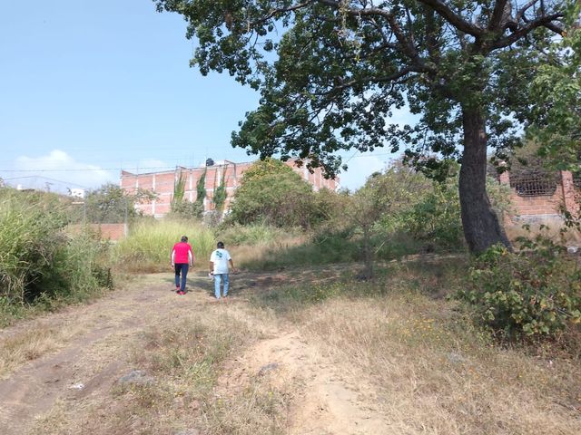place photo 7