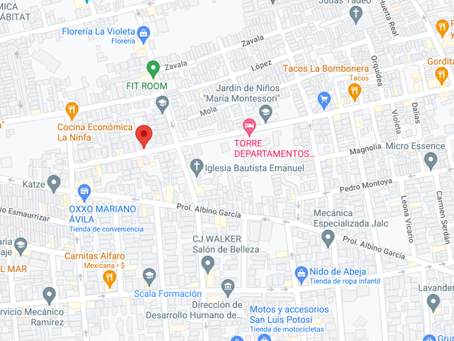 place photo 6