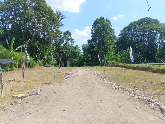 place photo 5