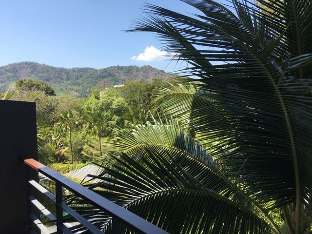 place photo 25