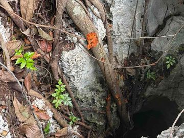 place photo 23