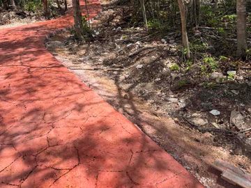place photo 48