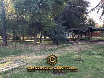 place photo 12