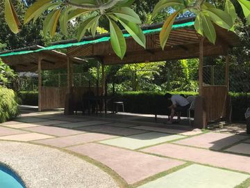 place photo 19