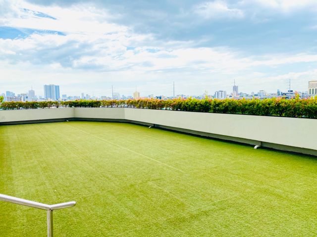 place photo 14