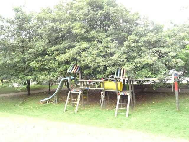 place photo 30
