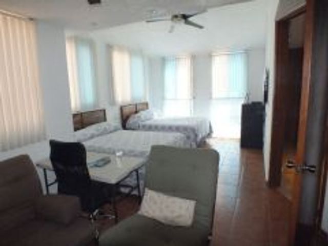 place photo 17
