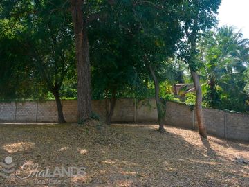 place photo 21