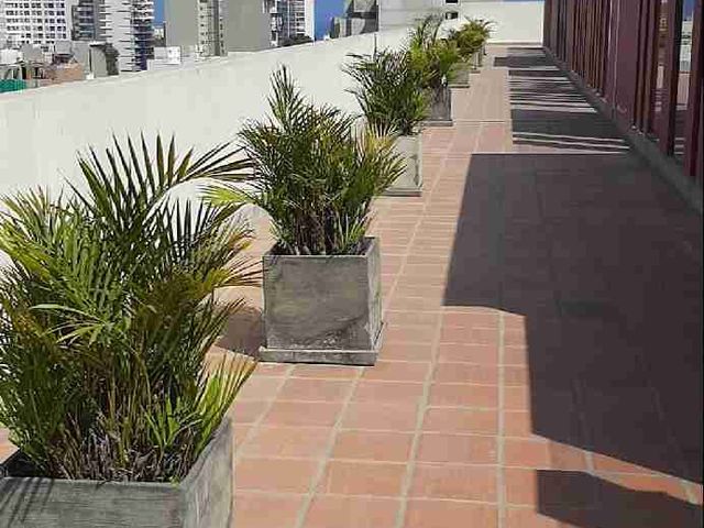 place photo 34