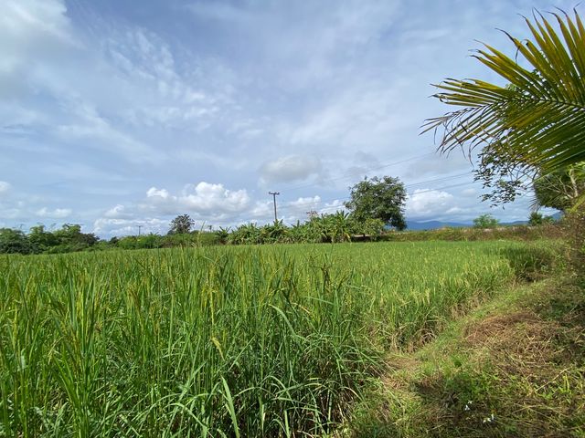 place photo 65