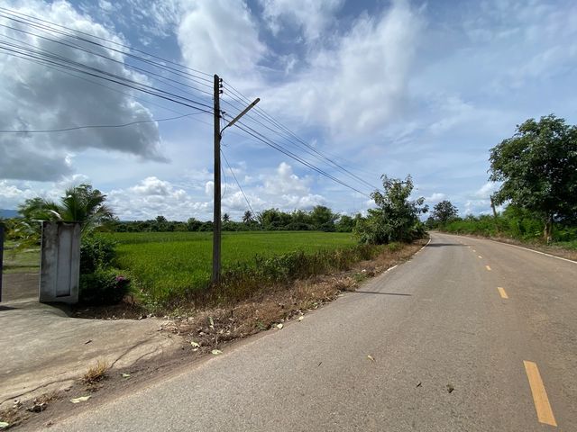 place photo 54