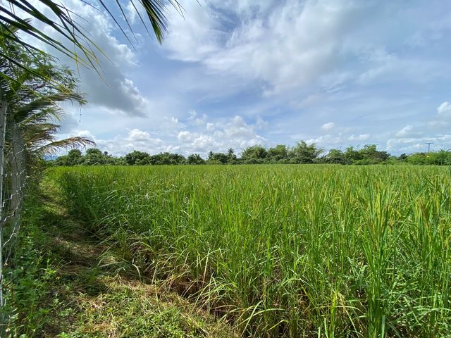 place photo 67