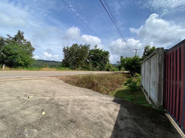 place photo 48