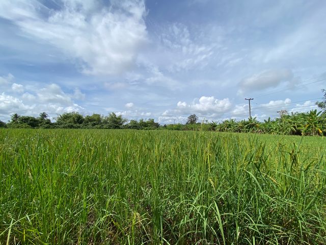 place photo 64