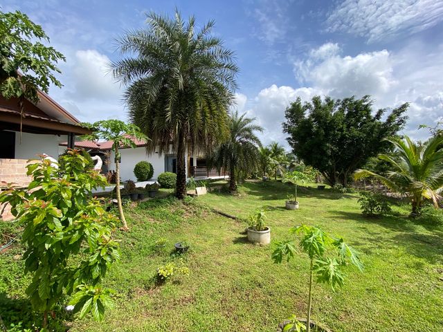 place photo 61