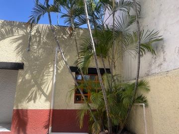 place photo 32