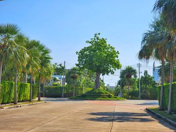 place photo 40
