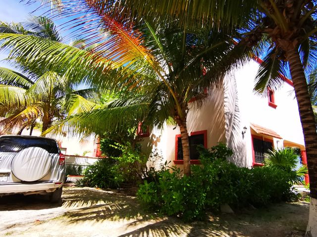 place photo 46