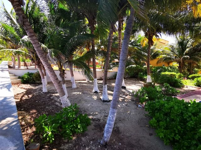place photo 58