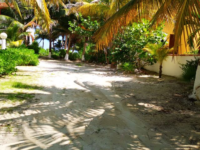place photo 56