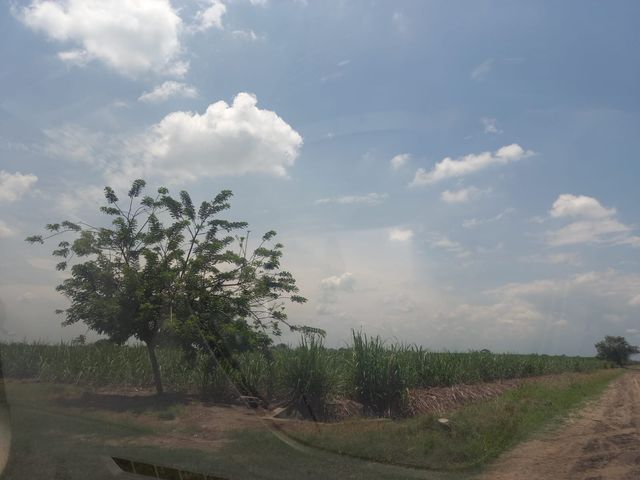 place photo 23
