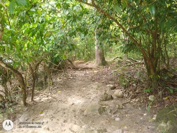 place photo 28