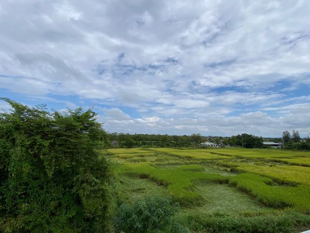 place photo 56