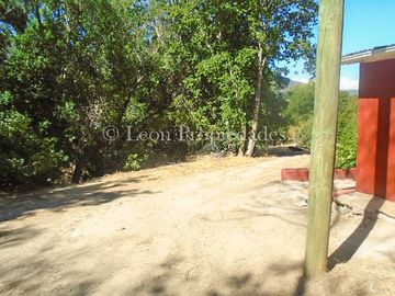 place photo 19