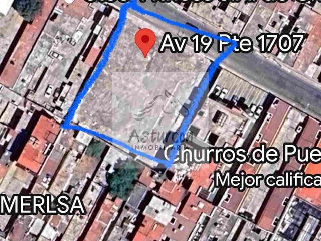 place photo 14