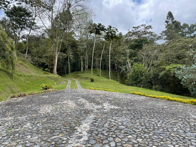place photo 19