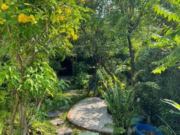 place photo 41