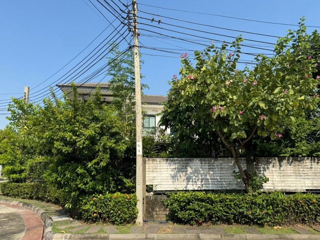 place photo 45