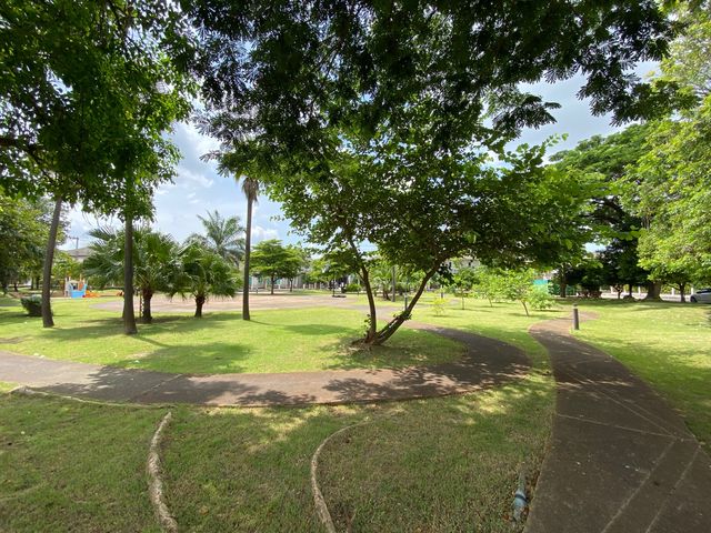 place photo 27
